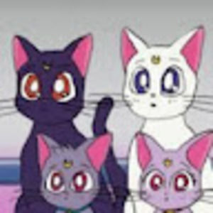 Meet your Posher, Nora